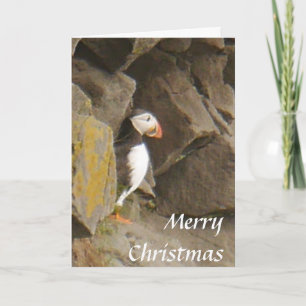 Cartão De Festividades Puffin Christmas Card