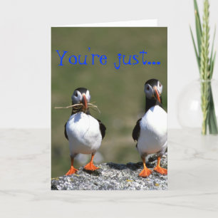 Cartão De Festividades Puffin Pair Valentine's Card 'So my type'