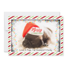 Pug de Natal com Chapéu de Papai Noel e Luzes de N