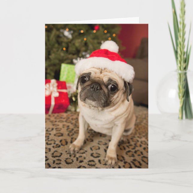 Cartão De Festividades Pug em Santa Claus Hat sentado no tapete (Frente)