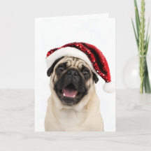 Pug Feliz Usando Chapéu Vermelho de Natal Brilhant