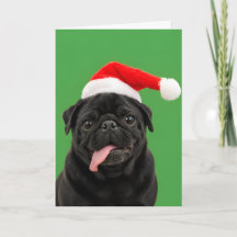 Pug Preto Engraçado com Chapéu de Papai Noel e Lín