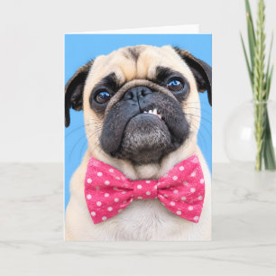 Cartão De Festividades Pug Usando Laço Rosa
