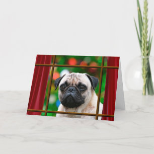 Cartão De Festividades Pug watches for Santa