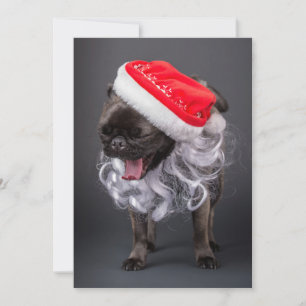 Cartão De Festividades Pug Yawning em Santa Chapéu e Barba