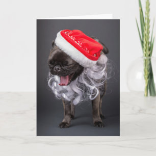 Cartão De Festividades Pug Yawning em um Papai Noel e Barba