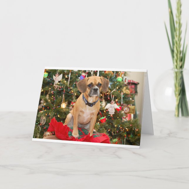 Cartão De Festividades Puggle (Frente)