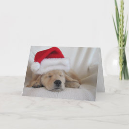 Cartão De Festividades Pup Natal do Santa Hat