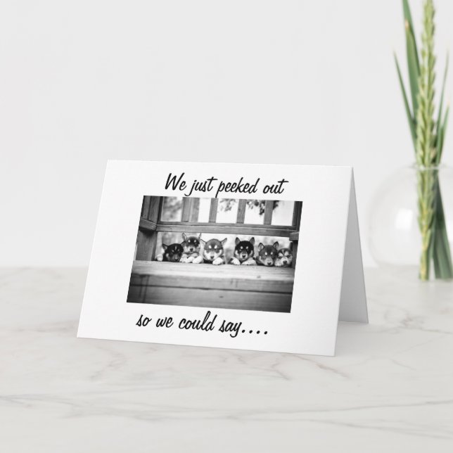 Cartão De Festividades PUPPIES DE rouco VÊM DIZER NATAL DE MERGULHO (Frente)