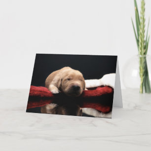 Cartão De Festividades Puppy e Stocks do ouro