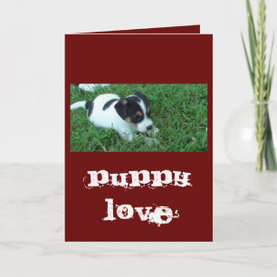Cartão De Festividades Puppy Love