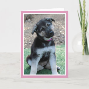Cartão De Festividades Puppy Seja Meu Namorados