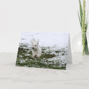 Cartão De Festividades Puppy Snow Day