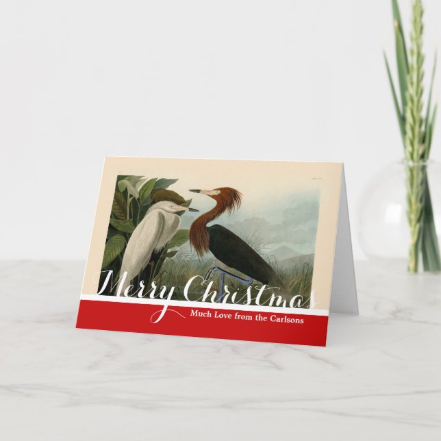 Cartão De Festividades Púrpura Heron Audubon Bird Willife Painting (Frente)