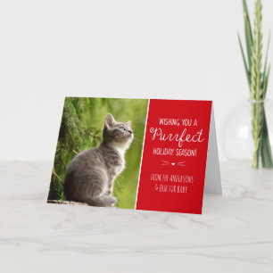 Cartão De Festividades Purrfect Cat Theme Holiday Photo Card