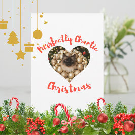 Cartão De Festividades Quadro de Foto de Gato Personalizado de Natal