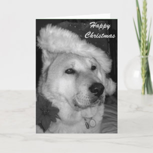 Cartão De Festividades quadro preto e branco de cão vestido de papai noel