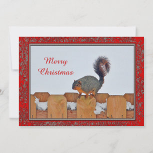 Cartão De Festividades Quadrrel Fence Snow Foto de Natal Flat