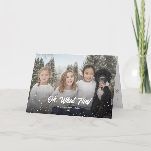 Cartão De Festividades Que Foto Divertida De Neve Flocos De Neve (Frente)