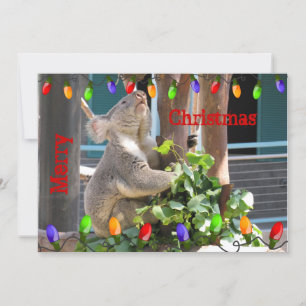 Cartão De Festividades Que Suas Luzes Brilhem Brilhantes. Koala Christmas