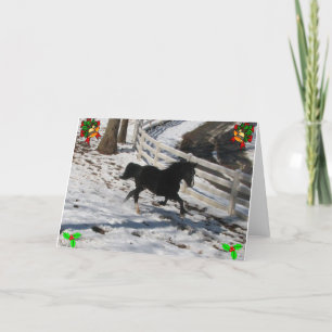 Cartão De Festividades Queijos Quentes