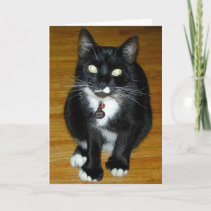 Cartão De Festividades Quem mim?