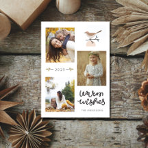 Quente Desperta Pássaro Botânico Três Foto Natal