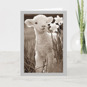 CARTÃO DE FESTIVIDADES QUER DIZER FELIZ *PÁSCOA* PARA MEU ***TWIN*** HOLI