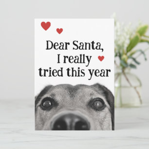Cartão De Festividades Querido Papai Noel Eu Realmente Tentei Este Ano