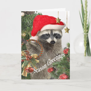 Cartão De Festividades Raccoon Christma A Time For Fun Cards
