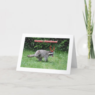 Cartão De Festividades Raccoon Christmas