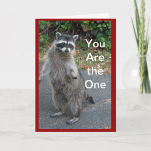 Cartão De Festividades Raccoon Valentine Card