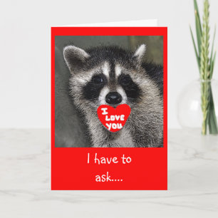 Cartão De Festividades Raccoon Valentines Day Card