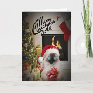 Cartão De Festividades Ragdoll Merry Christmas To All