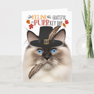 Cartão De Festividades Ragdoll Seal Point Cat Grateful para PURRkey Day