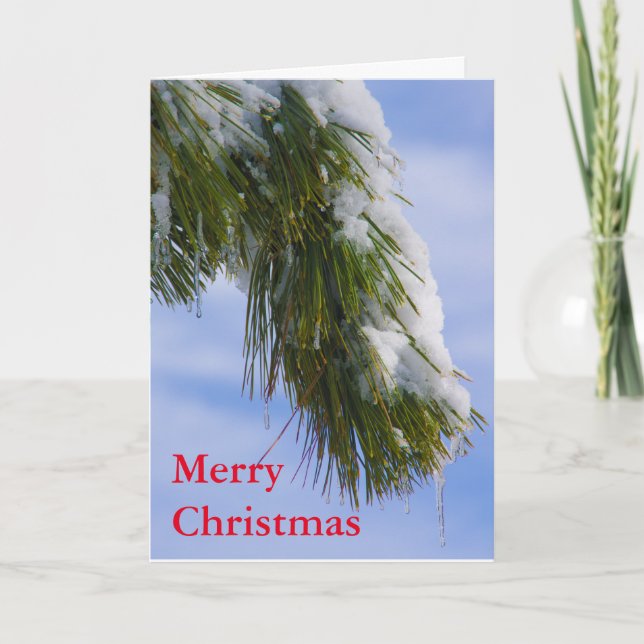 Cartão De Festividades Ramo de Swowy com sincelos (Frente)