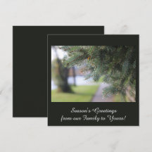 Ramos de Sempre-Verde Personalizados Elegantes Ver