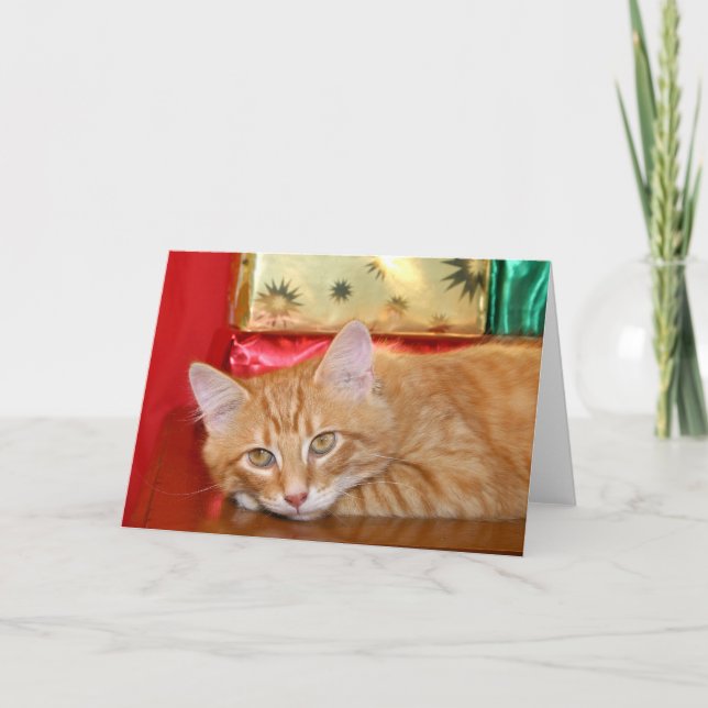 Cartão De Festividades Rápido Natal (Frente)