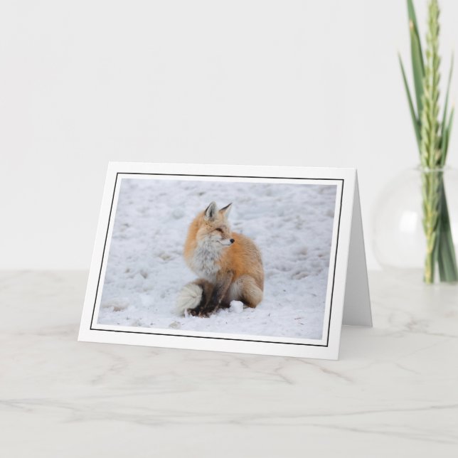 Cartão De Festividades Raposa em Cascata na Neve (Frente)