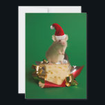 Cartão De Festividades Rato com o chapéu do papai noel com queijo<br><div class="desc">Rato com o chapéu do papai noel com queijo</div>