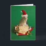 Cartão De Festividades Rato com o chapéu do papai noel com queijo<br><div class="desc">Rato com o chapéu do papai noel com queijo</div>