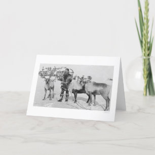 Cartão De Festividades Rebanho Alaska 1909 da rena