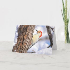 Cartão De Festividades Red-bellied Woodpecker Christmas Card