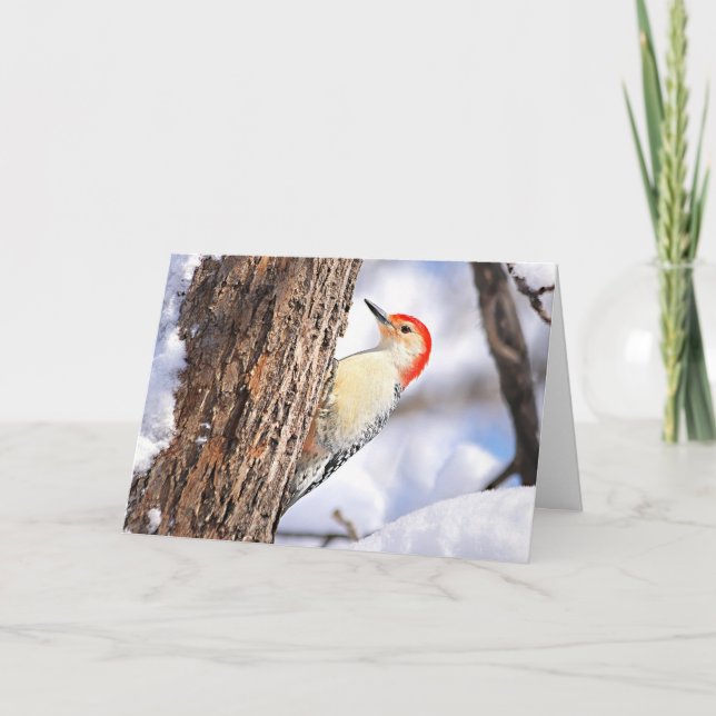 Cartão De Festividades Red-bellied Woodpecker Christmas Card (Frente)