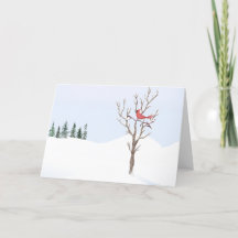 Red Cardinal Bird Peace On Earth Feliz Natal