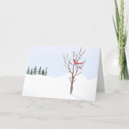 Cartão De Festividades Red Cardinal Bird Peace On Earth Feliz Natal