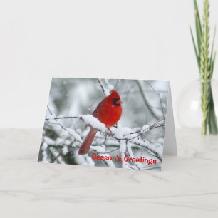 Cartão De Festividades Red Cardinal Christmas Greeting Card