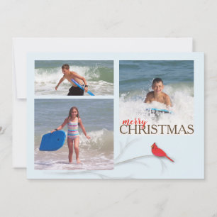 Cartão De Festividades Red Cardinal Double Sided MULTI Photo Card