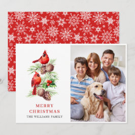 Cartão De Festividades Red Cardinly Berry, FÓSTO de Natal