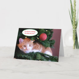 Cartão De Festividades Red Funny Orange Cat em uma árvore de Natal